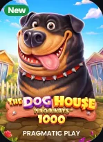 The Dog House 1000